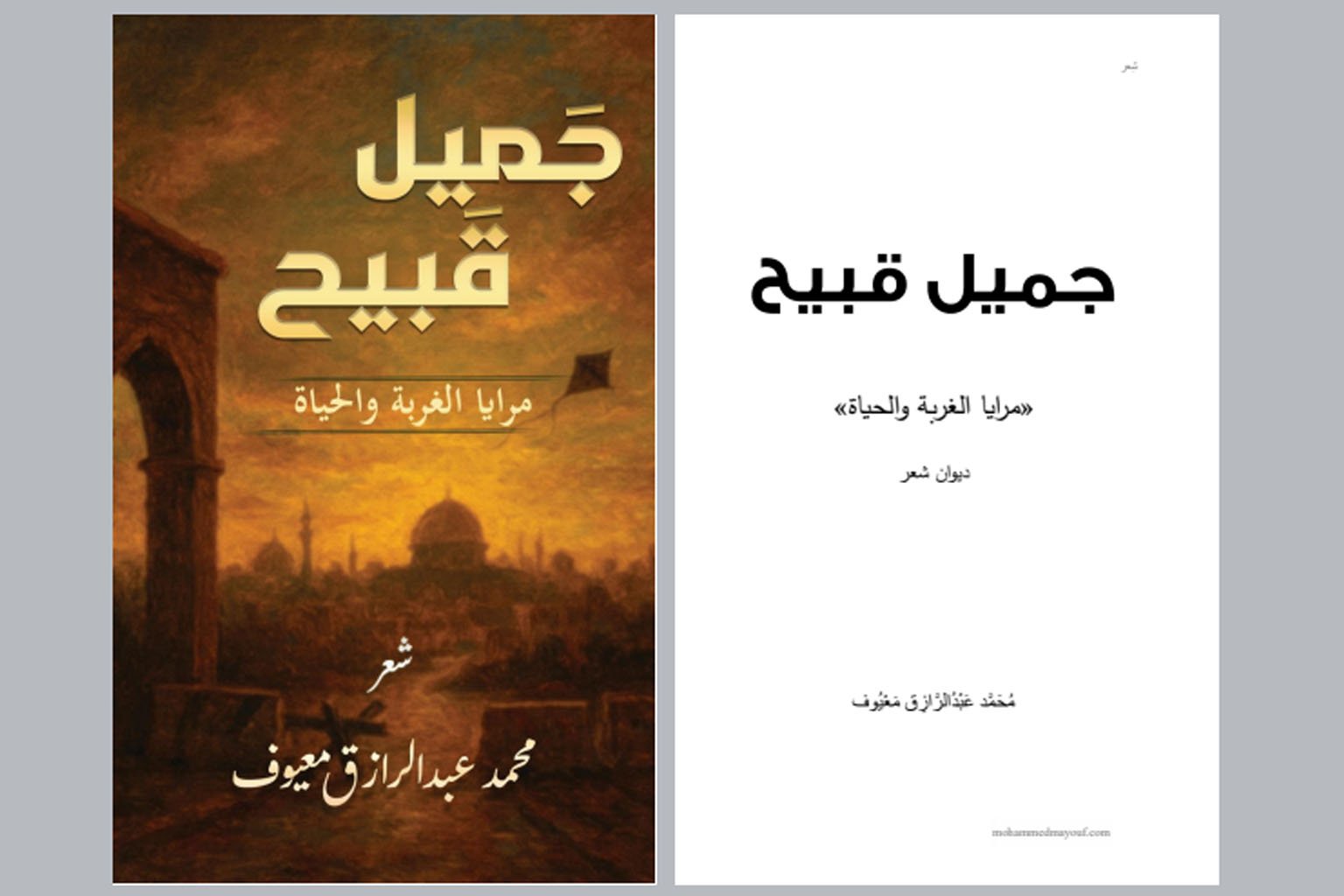 جميلٌ قبيحٌ – مرايا الغربة والحياة جميلٌ قبيحٌ – مرايا الغربة والحياة