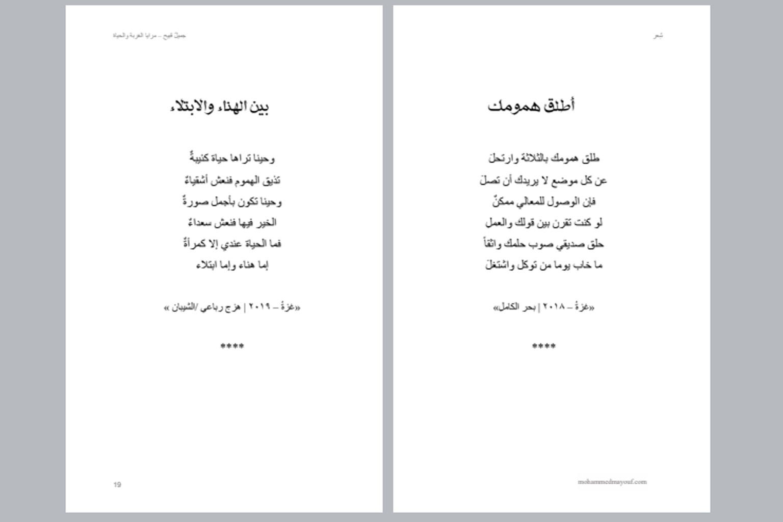 جميلٌ قبيحٌ – مرايا الغربة والحياة جميلٌ قبيحٌ – مرايا الغربة والحياة